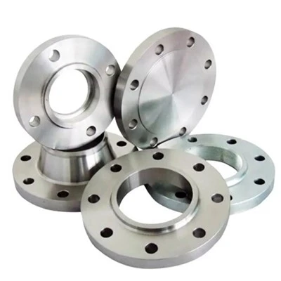 Gr2 Titanium smidd flens